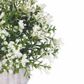 Bild in Galerie-Betrachter laden, Pflanze Weiße Blüten, künstlich