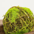 Bild in Galerie-Betrachter laden, Mossy Twig Ball, 15,2 cm
