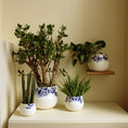 Bild in Galerie-Betrachter laden, Blue Blossom Blumentopf 2