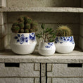 Bild in Galerie-Betrachter laden, Blue Blossom Blumentopf 1