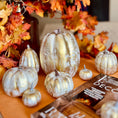 Bild in Galerie-Betrachter laden, Deko-Kürbis, Champgner/Gold, Set