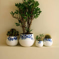 Bild in Galerie-Betrachter laden, Blue Blossom Blumentopf 1