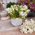 Bild in Galerie-Betrachter laden, Pflanze Weiße Blüten, künstlich