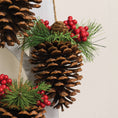 Bild in Galerie-Betrachter laden, Waldkiefer-Mix & Rote Beeren Kiefernzapfen Trio-Hänger