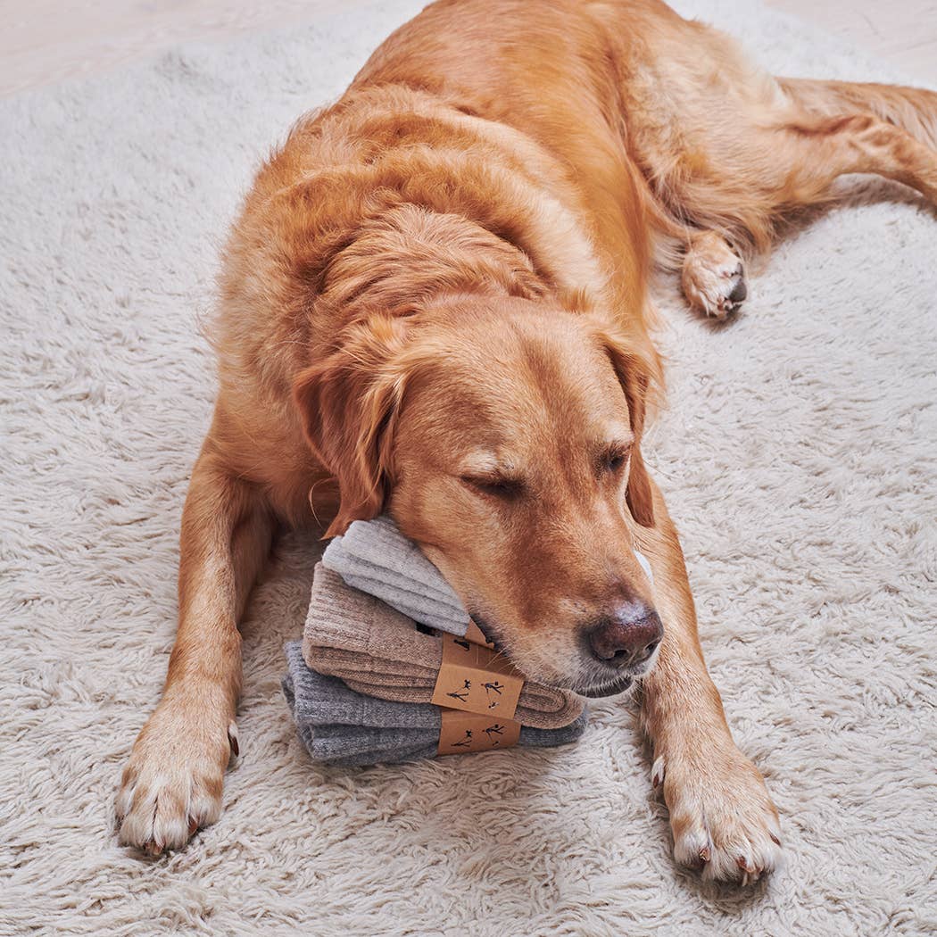 Socken für Hundespaziergänge