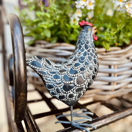Huhn stehend