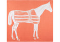 Bild in Galerie-Betrachter laden, EQUUS PLAID VOLLBLUT ORANGE
