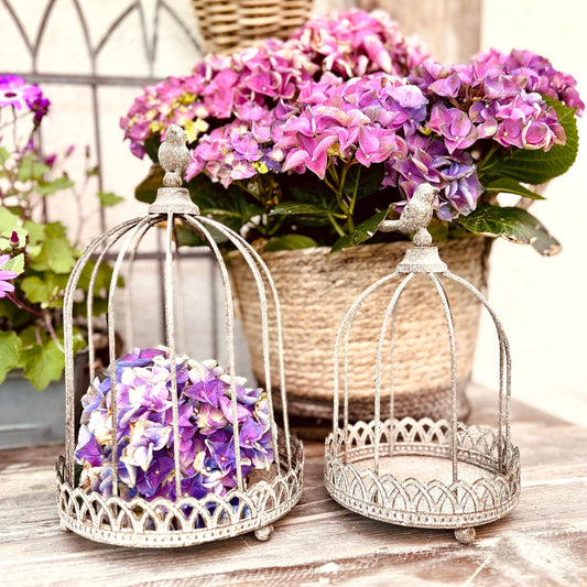 Käfige mit Zopf & Vogel
