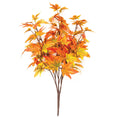 Bild in Galerie-Betrachter laden, Herbst-Ahornblattstrauch, 55 cm

