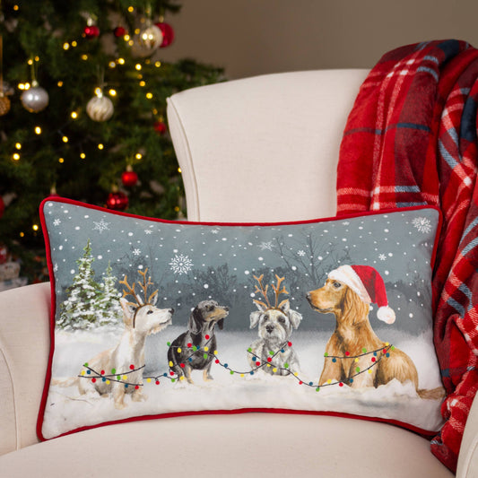 Weihnachts-Hundekissen