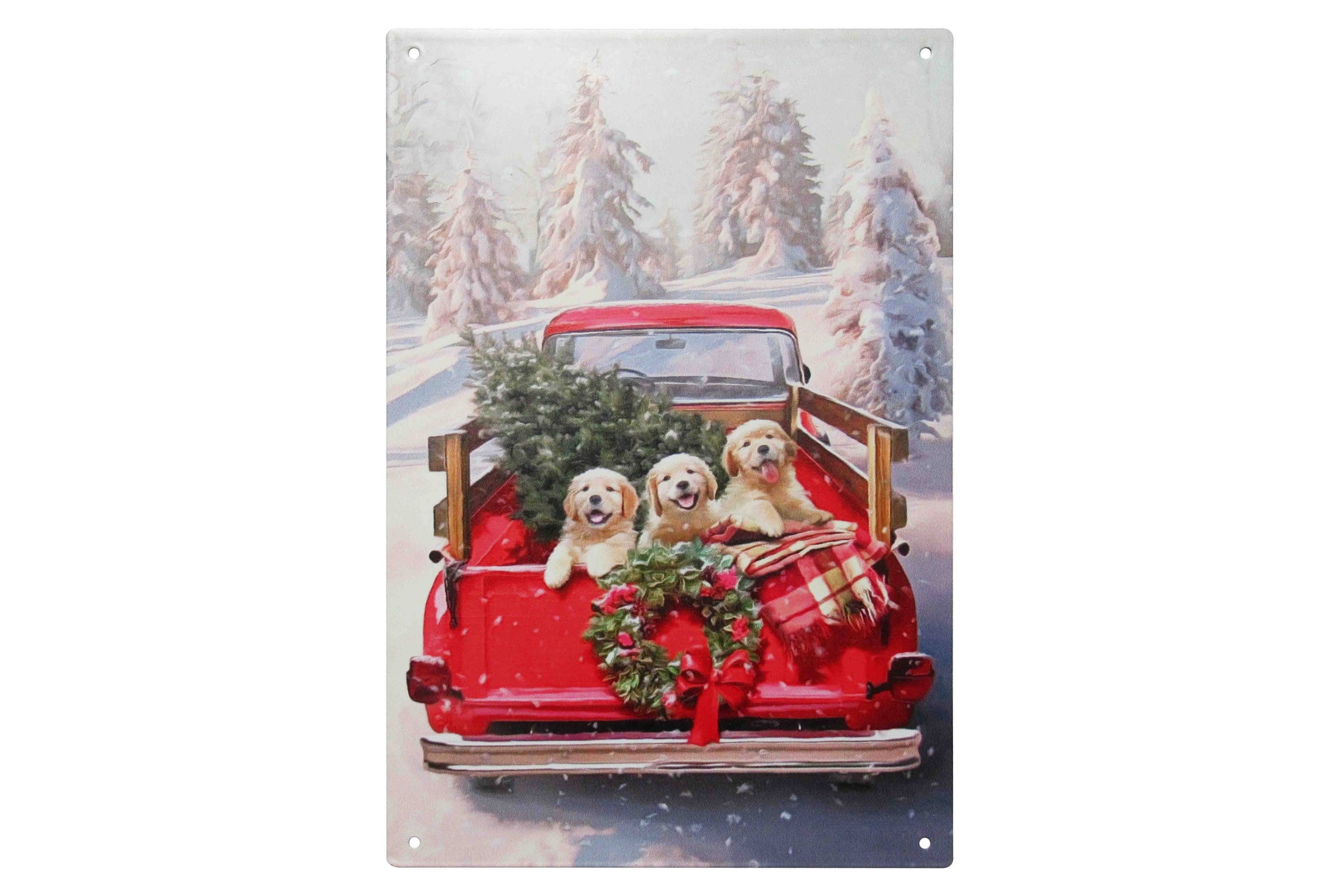 Metallschild voller Freude 20x30 cm